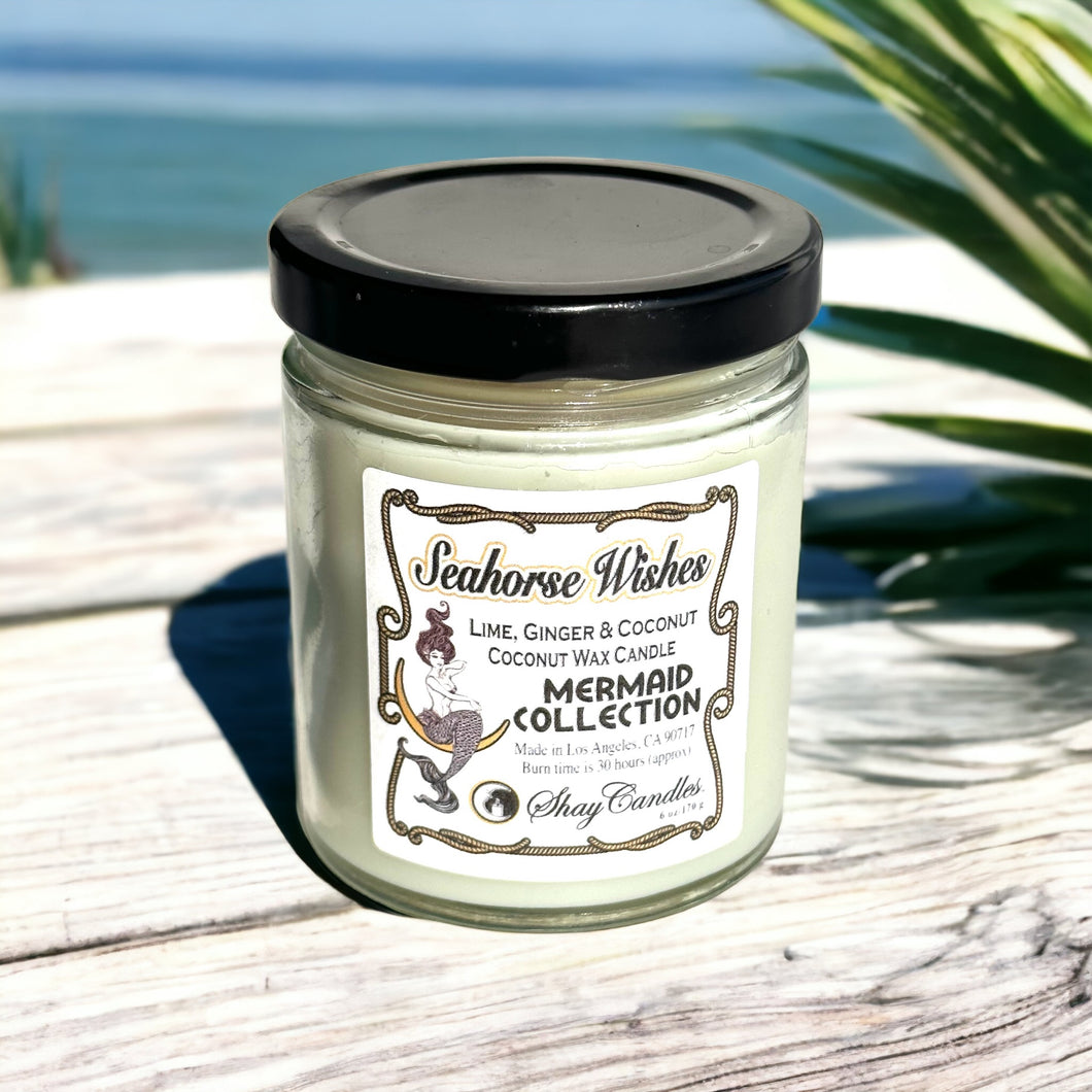 Lime, Ginger, Coconut Scent 6oz Candle ||Coconut Wax ||”SEAHORSE WISHES”