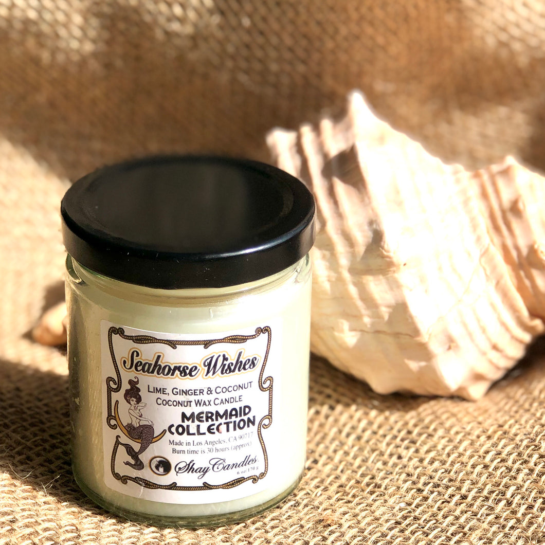 Lime, Ginger, Coconut Scented 6oz Candle ||Coconut Wax ||”Seahorse Wishes”