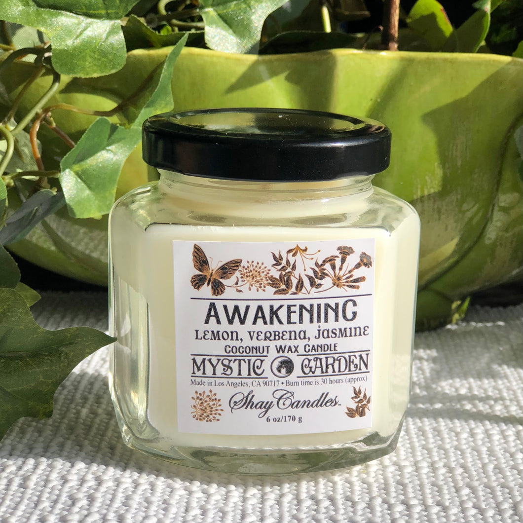 Lemon, Verbena, Jasmine Scented 6oz Candle ||Coconut Wax ||”Awakening”